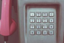 phone numbers and owners query