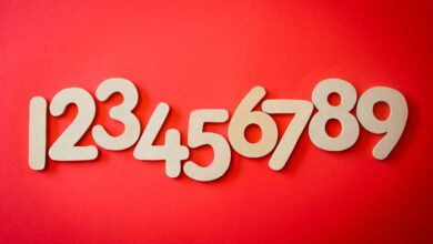 phone numbers list for verification