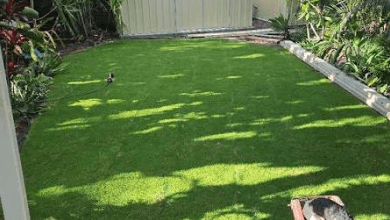Lawn in Hervey Bay