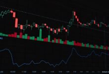 botify seo 55m series infravia growth